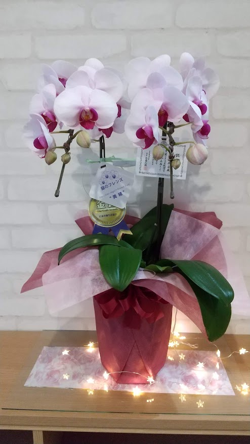 一日の生活イメージ